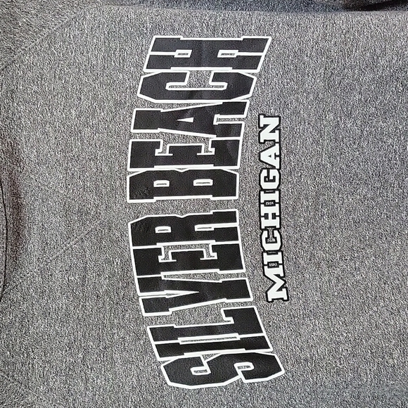 Rag Wear USA Call on Silver Beach Michigan grey crewneck sweatshirt long sleeves - Picture 4 of 15